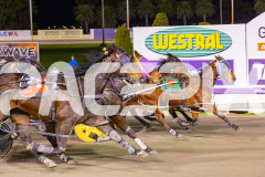 2025_PACEPIX_GP01082025_RACE5_MajorJay_Onesmartfella_WIN_WEB-11