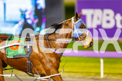 2025_PACEPIX_GP01082025_RACE5_MajorJay_Onesmartfella_WIN_WEB-14