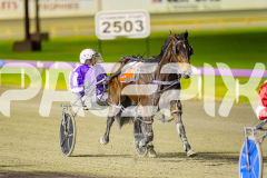 2025_PACEPIX_GP01082025_RACE5_MajorJay_Onesmartfella_WIN_WEB-15