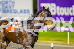 2025_PACEPIX_GP01082025_RACE5_MajorJay_Onesmartfella_WIN_WEB-16