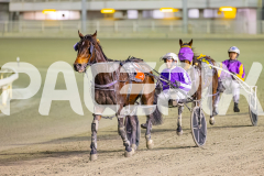 2025_PACEPIX_GP01082025_RACE5_MajorJay_Onesmartfella_WIN_WEB-17