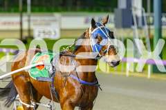 2025_PACEPIX_GP01082025_RACE5_MajorJay_Onesmartfella_WIN_WEB-24