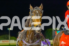 2025_PACEPIX_GP01082025_RACE5_MajorJay_Onesmartfella_WIN_WEB-28