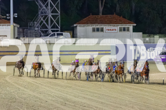 2025_PACEPIX_GP01082025_RACE5_MajorJay_Onesmartfella_WIN_WEB-3