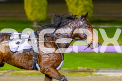 2026_PACEPIX_GP19052026_RACE5_Mcgree_WIN_WEB-11