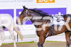 2026_PACEPIX_GP19052026_RACE5_Mcgree_WIN_WEB-14