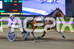 2026_PACEPIX_GP19052026_RACE5_Mcgree_WIN_WEB-6