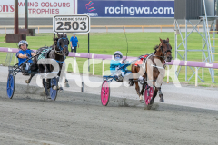 Medieval-Man_03-04-2026_WIN_Gloucester-Park_5__01