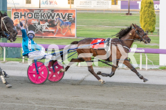 Medieval-Man_03-04-2026_WIN_Gloucester-Park_5__04