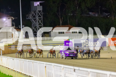 2025_PACEPIX_GP11072025_Race5_MightyRonaldo_WIN_WEB-1