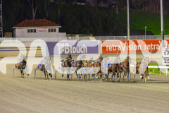 2025_PACEPIX_GP11072025_Race5_MightyRonaldo_WIN_WEB-10