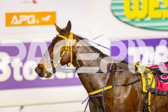 2025_PACEPIX_GP11072025_Race5_MightyRonaldo_WIN_WEB-33