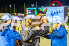 2025_PACEPIX_GP11072025_Race5_MightyRonaldo_WIN_WEB-36