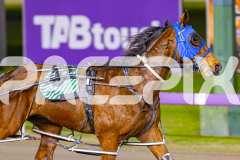 2025_PACEPIX_GP09092025_Race5_MikiWindermere_WIN_WEB-10