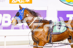 2025_PACEPIX_GP09092025_Race5_MikiWindermere_WIN_WEB-13