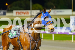2025_PACEPIX_GP09092025_Race5_MikiWindermere_WIN_WEB-17