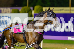 RACE 5 - Minstrel