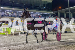 GP - 20/03/2026
