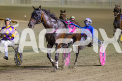 2026_PACEPIX_GP20032026_RACE5_Minstrel_WIN_WEB-12