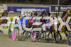 2026_PACEPIX_GP20032026_RACE5_Minstrel_WIN_WEB-2