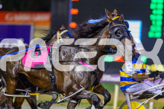 2026_PACEPIX_GP20032026_RACE5_Minstrel_WIN_WEB-4