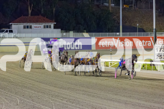 2026_PACEPIX_GP20032026_RACE5_Minstrel_WIN_WEB-6