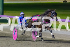 2026_PACEPIX_GP20032026_RACE5_Minstrel_WIN_WEB-7