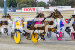 2025_PACEPIX_GP12122025_Minstrel_WIN_WEB-10