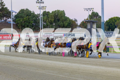 2025_PACEPIX_GP12122025_Minstrel_WIN_WEB-12