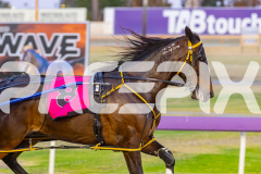 2025_PACEPIX_GP12122025_Minstrel_WIN_WEB-14