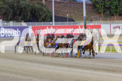 2025_PACEPIX_GP12122025_Minstrel_WIN_WEB-15
