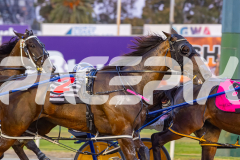 2025_PACEPIX_GP12122025_Minstrel_WIN_WEB-19