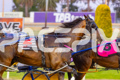 2025_PACEPIX_GP12122025_Minstrel_WIN_WEB-20