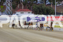 2025_PACEPIX_GP12122025_Minstrel_WIN_WEB-22
