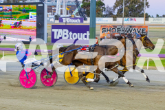 2025_PACEPIX_GP12122025_Minstrel_WIN_WEB-25