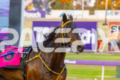 2025_PACEPIX_GP12122025_Minstrel_WIN_WEB-3