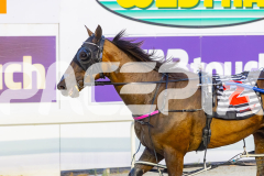 2025_PACEPIX_GP12122025_Minstrel_WIN_WEB-37
