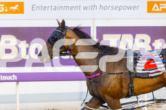 2025_PACEPIX_GP12122025_Minstrel_WIN_WEB-38