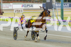 2025_PACEPIX_GP12122025_Minstrel_WIN_WEB-4