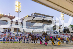 2025_PACEPIX_GP12122025_Minstrel_WIN_WEB-41