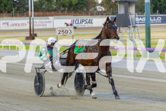 2025_PACEPIX_GP12122025_Minstrel_WIN_WEB-5