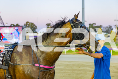 2025_PACEPIX_GP12122025_Minstrel_WIN_WEB-54