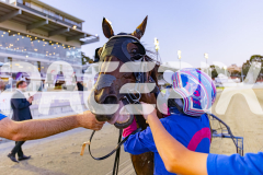 2025_PACEPIX_GP12122025_Minstrel_WIN_WEB-55