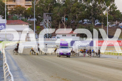 2025_PACEPIX_GP12122025_Minstrel_WIN_WEB-9