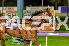 2026_PACEPIX_GP07042026_RACE5_MissUneek_WIN_WEB-11
