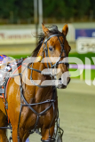 2026_PACEPIX_GP07042026_RACE5_MissUneek_WIN_WEB-13