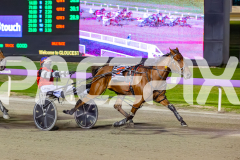 2026_PACEPIX_GP07042026_RACE5_MissUneek_WIN_WEB-8