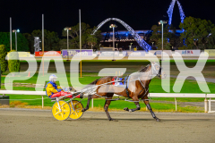 2025_PACEPIX_GP02052025_Race5_MisterSmartee_WIN_WEB-1