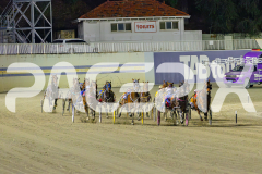 2025_PACEPIX_GP02052025_Race5_MisterSmartee_WIN_WEB-10