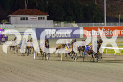 2025_PACEPIX_GP02052025_Race5_MisterSmartee_WIN_WEB-11